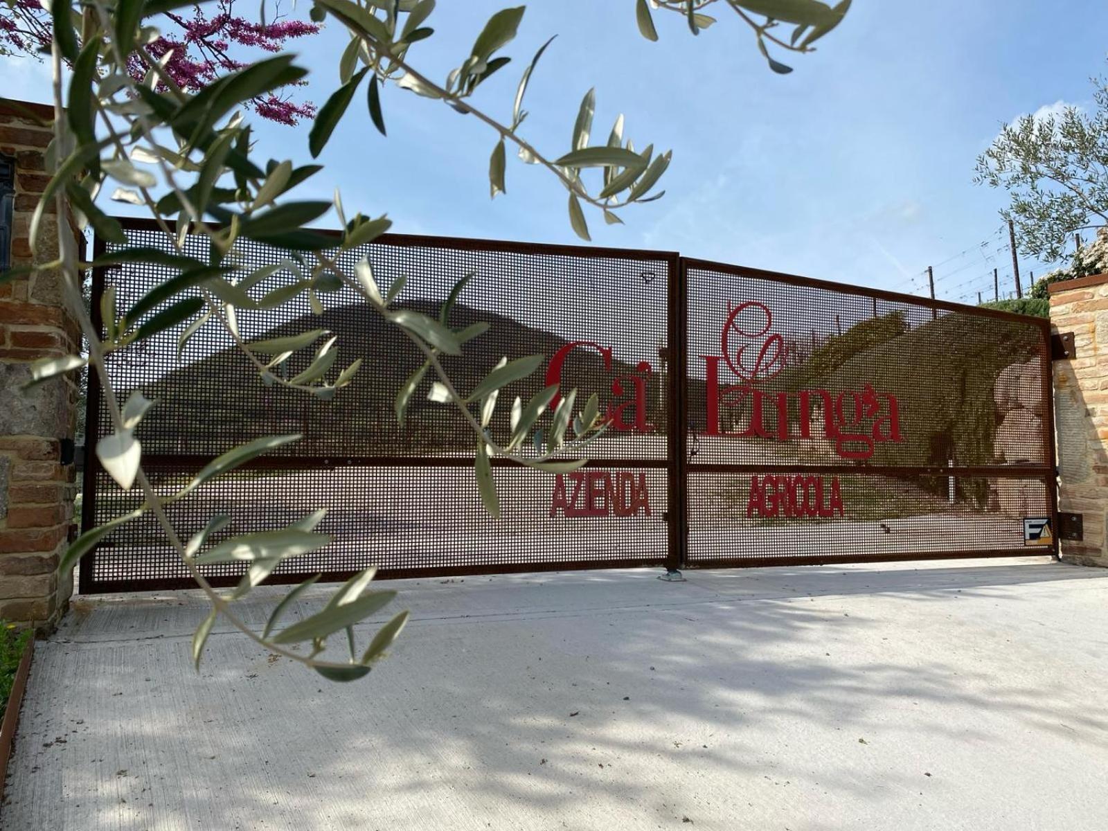 Azienda Agricola Ca' Lunga Cinto Euganeo Luaran gambar